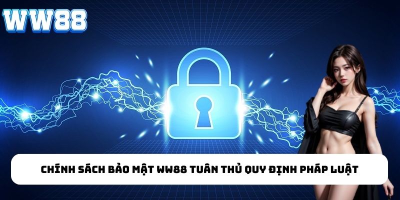 Chính sách bảo mật WW88 tuân thủ quy định pháp luật