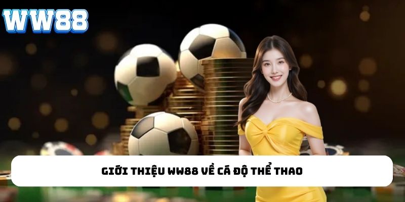 Giới thiệu WW88 về cá độ thể thao
