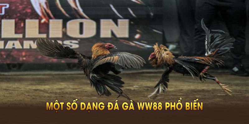 Một số dạng đá gà WW88 phổ biến dành cho người chơi mới
